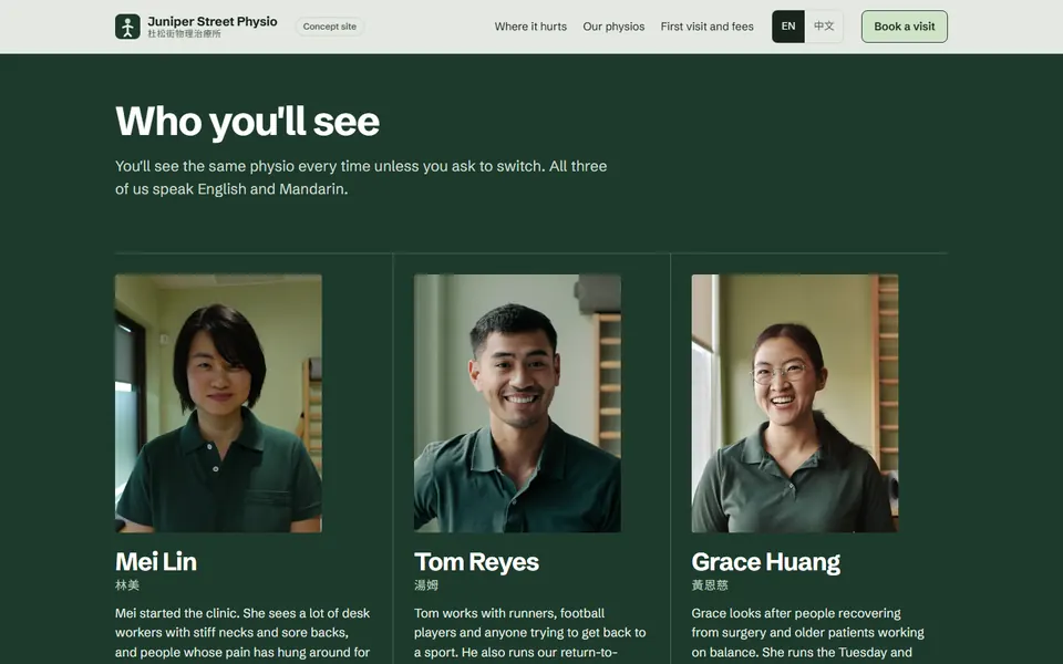 The three physios with what they mostly see and the days they work