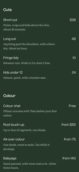 The price list on a phone: cuts and colour, each with a price and a one-line description