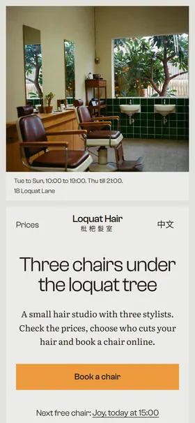 The opening screen on a phone: the studio photo, the opening hours, the headline and a button to book a chair